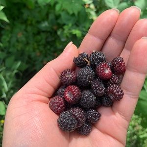 Meet your Posher, Tracy